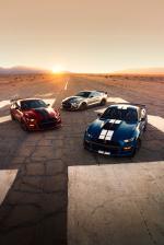 Ford Mustang Shelby GT500 2019 года